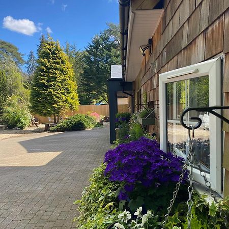 Petherton Cottage Studios Рингвуд Экстерьер фото